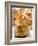 Caramelised Profiterole with Cream Filling-null-Framed Photographic Print