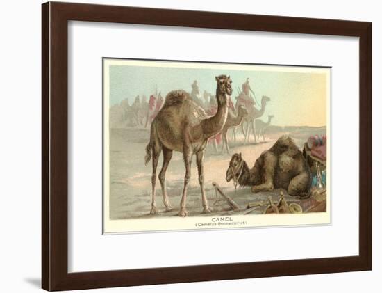 Caravan of Camels-null-Framed Art Print