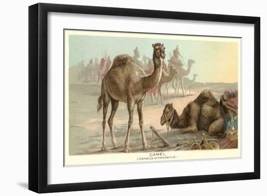 Caravan of Camels-null-Framed Art Print