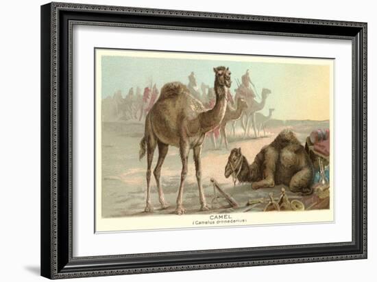 Caravan of Camels-null-Framed Art Print