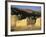 Caravanserai, Daulitiar, Afghanistan-Jane Sweeney-Framed Photographic Print