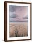 Carbis Bay Beach at Dawn, St. Ives, Cornwall, England, United Kingdom, Europe-Mark Doherty-Framed Photographic Print