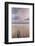 Carbis Bay Beach at Dawn, St. Ives, Cornwall, England, United Kingdom, Europe-Mark Doherty-Framed Premium Photographic Print