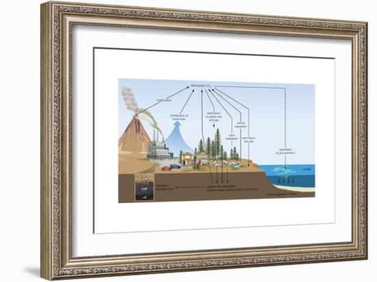 Carbon Cycle, Atmosphere, Biosphere, Earth Sciences-Encyclopaedia Britannica-Framed Art Print