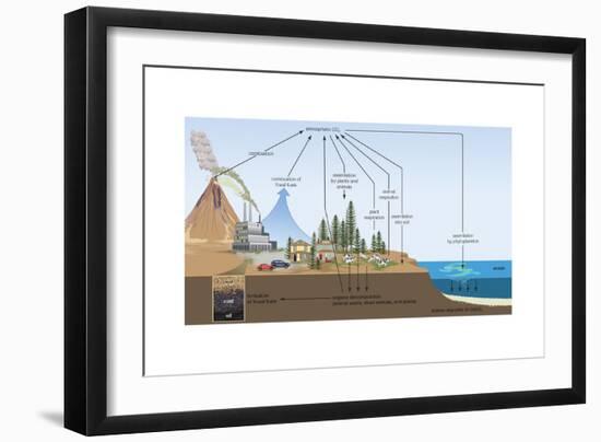 Carbon Cycle, Atmosphere, Biosphere, Earth Sciences-Encyclopaedia Britannica-Framed Art Print