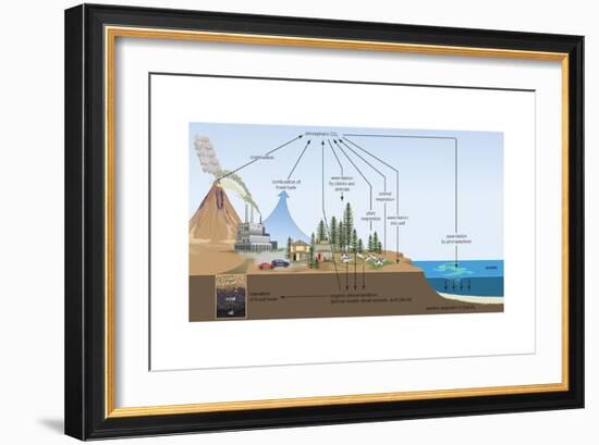 Carbon Cycle, Atmosphere, Biosphere, Earth Sciences-Encyclopaedia Britannica-Framed Art Print