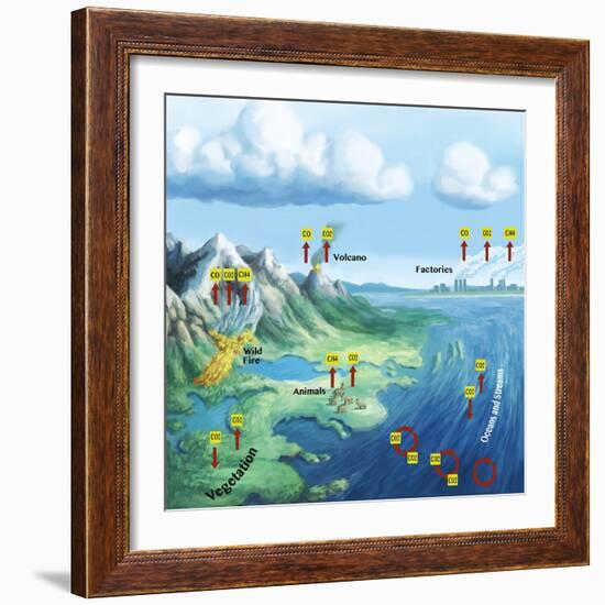 Carbon Cycle-Spencer Sutton-Framed Giclee Print