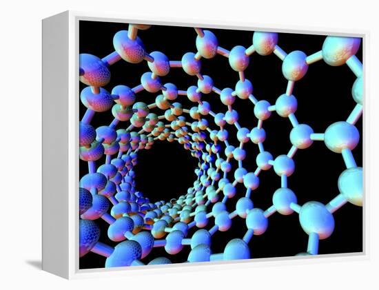 Carbon Nanotube-PASIEKA-Framed Premier Image Canvas