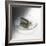 Carbon-Science Photo Library-Framed Premium Photographic Print