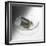 Carbon-Science Photo Library-Framed Premium Photographic Print