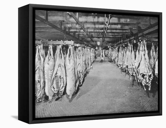 Carcases of Meat Hang from Hooks in the Huge Refrigerated Rooms of the Chicago Stockyards-null-Framed Premier Image Canvas