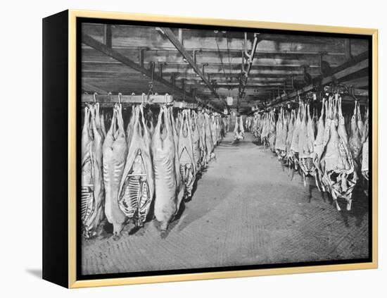 Carcases of Meat Hang from Hooks in the Huge Refrigerated Rooms of the Chicago Stockyards-null-Framed Premier Image Canvas