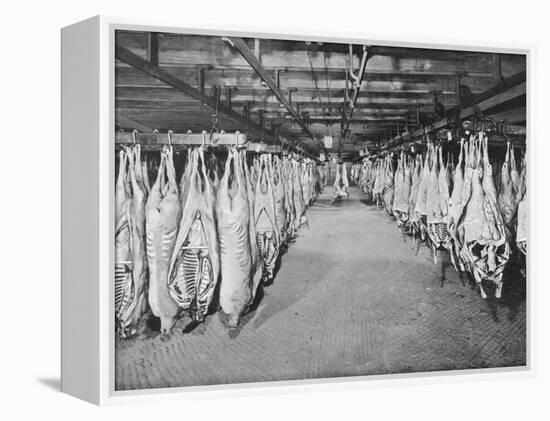 Carcases of Meat Hang from Hooks in the Huge Refrigerated Rooms of the Chicago Stockyards-null-Framed Premier Image Canvas