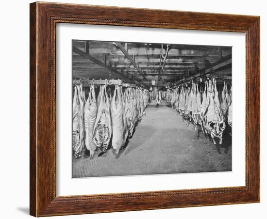 Carcases of Meat Hang from Hooks in the Huge Refrigerated Rooms of the Chicago Stockyards-null-Framed Photographic Print