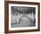 Carcases of Meat Hang from Hooks in the Huge Refrigerated Rooms of the Chicago Stockyards-null-Framed Photographic Print