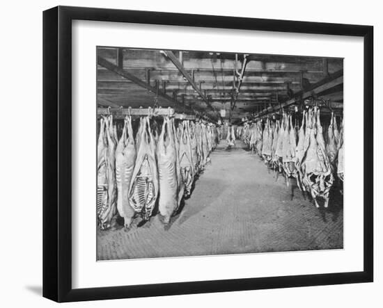 Carcases of Meat Hang from Hooks in the Huge Refrigerated Rooms of the Chicago Stockyards-null-Framed Photographic Print