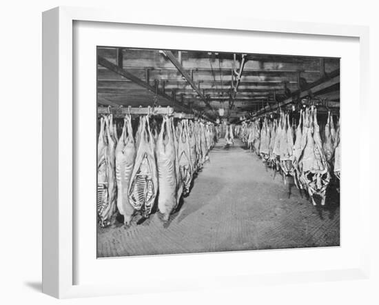 Carcases of Meat Hang from Hooks in the Huge Refrigerated Rooms of the Chicago Stockyards-null-Framed Photographic Print