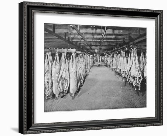 Carcases of Meat Hang from Hooks in the Huge Refrigerated Rooms of the Chicago Stockyards-null-Framed Photographic Print