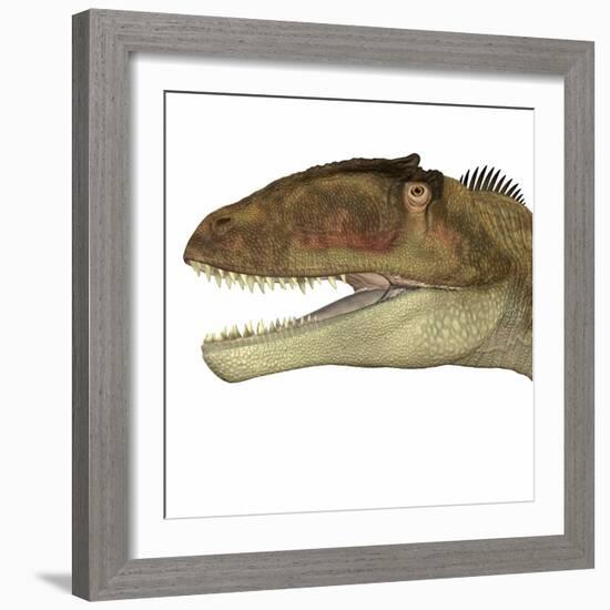 Carcharodontosaurus Dinosaur Head-Stocktrek Images-Framed Art Print