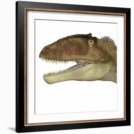 Carcharodontosaurus Dinosaur Head-Stocktrek Images-Framed Art Print