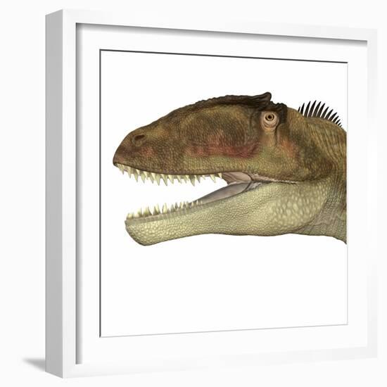 Carcharodontosaurus Dinosaur Head-Stocktrek Images-Framed Art Print