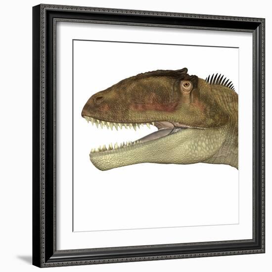 Carcharodontosaurus Dinosaur Head-Stocktrek Images-Framed Art Print