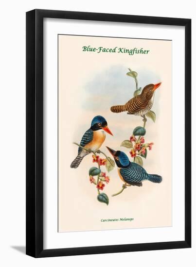 Carcineutes Melanops - Blue-Faced Kingfisher-John Gould-Framed Art Print