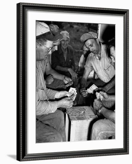 Card Sharks-null-Framed Photographic Print