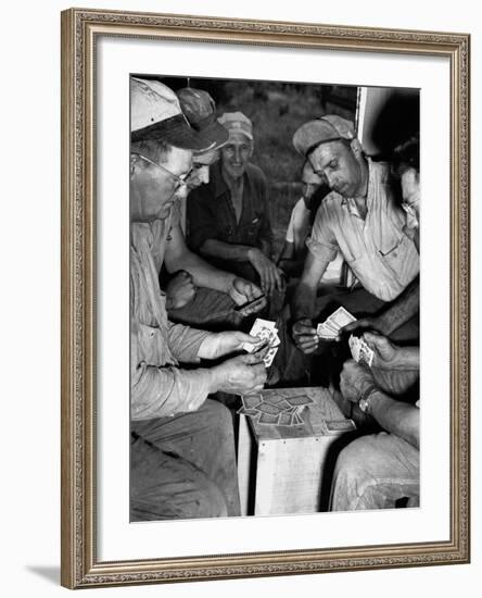 Card Sharks-null-Framed Photographic Print