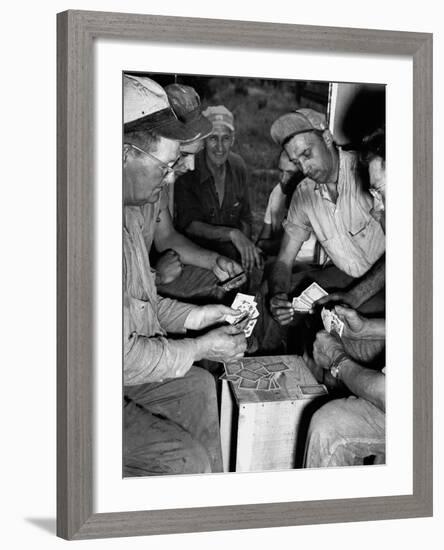 Card Sharks-null-Framed Photographic Print