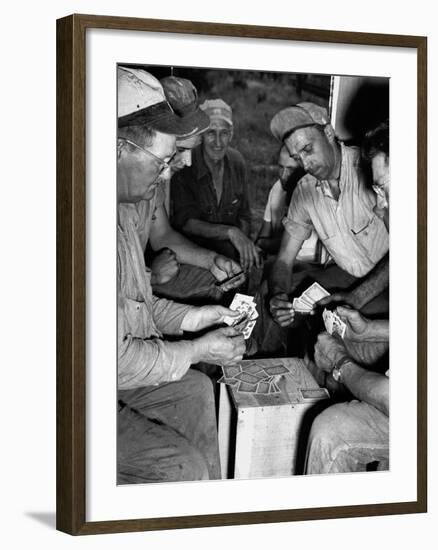 Card Sharks-null-Framed Photographic Print