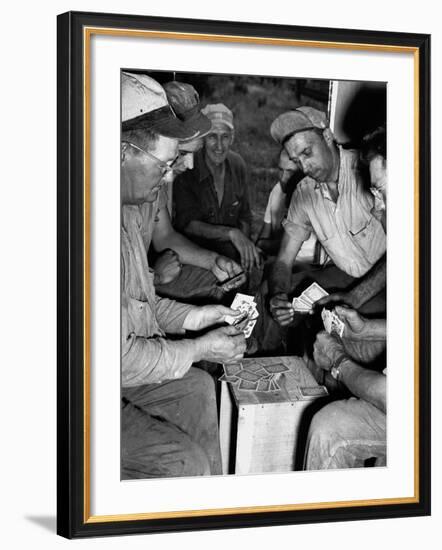 Card Sharks-null-Framed Photographic Print