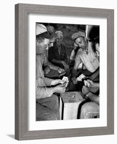 Card Sharks-null-Framed Photographic Print