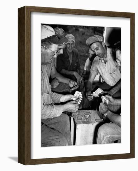 Card Sharks-null-Framed Photographic Print