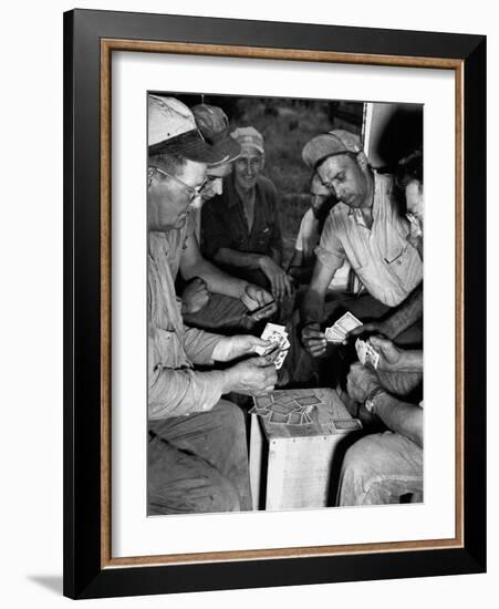 Card Sharks-null-Framed Photographic Print