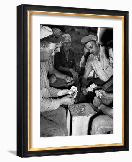 Card Sharks-null-Framed Photographic Print