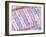 Cardiac Muscle, TEM-Thomas Deerinck-Framed Photographic Print