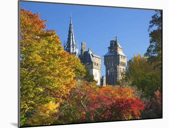 Cardiff Castle, Bute Park, South Wales, Wales, United Kingdom, Europe-Billy Stock-Mounted Photographic Print