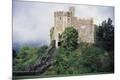 Premium Giclee Print