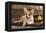 Cardigan Welsh Corgi Dog Breed-Lilun-Framed Premier Image Canvas