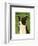 Cardigan Welsh Corgi-John W^ Golden-Framed Art Print