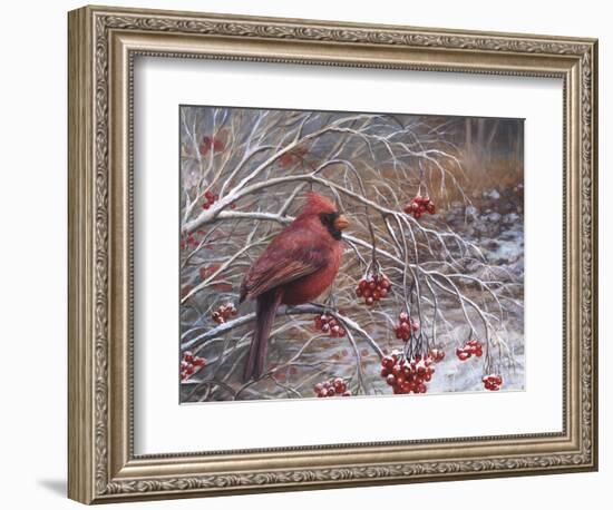 Cardinal and Berries-Kevin Dodds-Framed Giclee Print