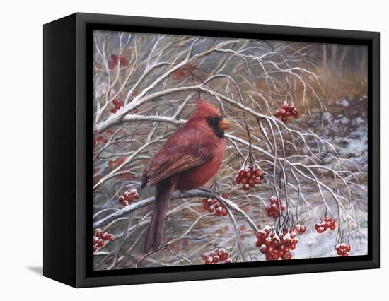 Cardinal and Berries-Kevin Dodds-Framed Premier Image Canvas