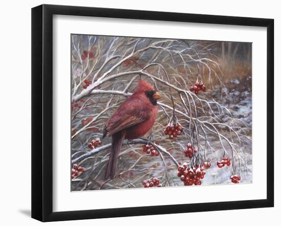 Cardinal and Berries-Kevin Dodds-Framed Giclee Print