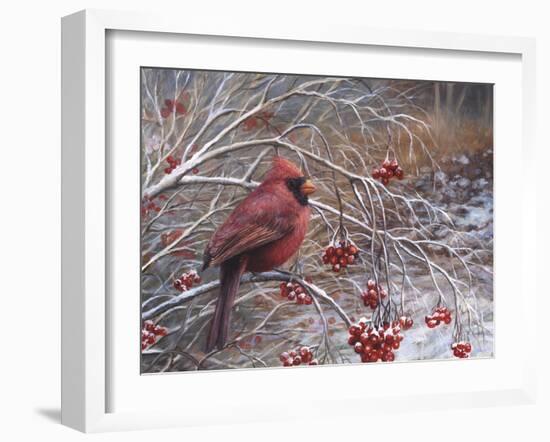 Cardinal and Berries-Kevin Dodds-Framed Giclee Print