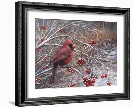 Cardinal and Berries-Kevin Dodds-Framed Giclee Print