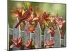 Cardinal and Lilies-William Vanderdasson-Mounted Giclee Print