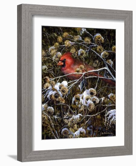 Cardinal and Thistles-Kevin Dodds-Framed Giclee Print