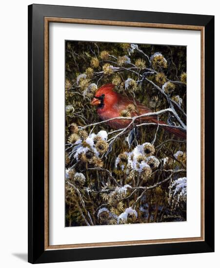 Cardinal and Thistles-Kevin Dodds-Framed Giclee Print