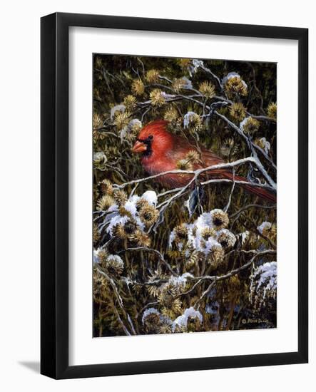 Cardinal and Thistles-Kevin Dodds-Framed Giclee Print